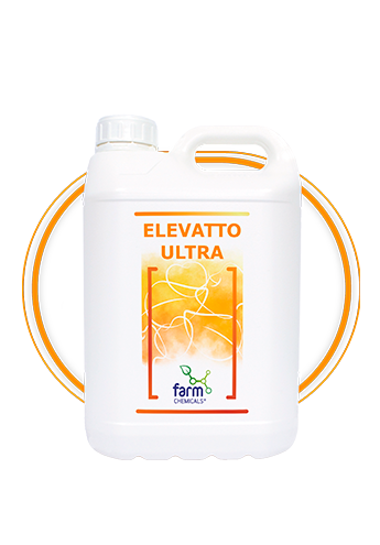 ELEVATTO ULTRA 5L 345x495