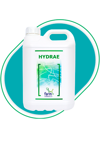 HYDRAE 5L 345x495