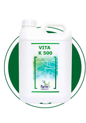 VITA K 500 5L 345x495